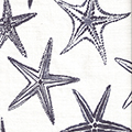 Starfish Vista